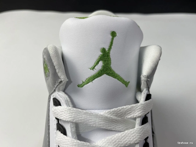 Retro Jordan 3 136064-006 Air Chlorophyll 1031